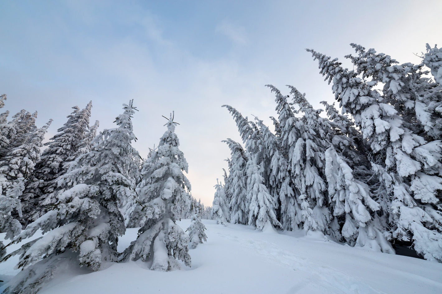 Icy Bliss: How Ice Baths Elevate Your Christmas Self-Care Routine